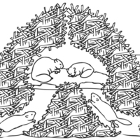 Desenho de Casa dos castores para colorir