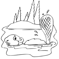Desenho de Castor nadando para colorir
