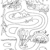 Desenho de Toca do castor para colorir