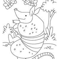 Desenho de Tatu e borboletas para colorir