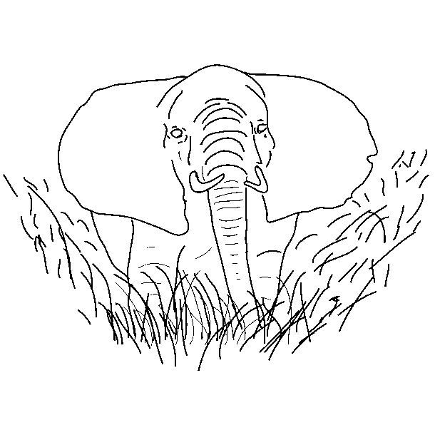 Elefante passeando pela savana