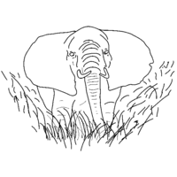 Desenho de Elefante passeando pela savana para colorir