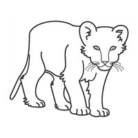 Desenho de Tigre da savana africana para colorir