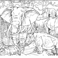 Desenho de Elefante e hipopótamo na savana para colorir