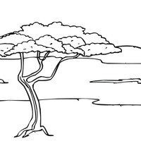 Desenho de Paisagem da savana africana para colorir
