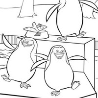 Desenho de Pinguins de Madagascar no zoológico para colorir