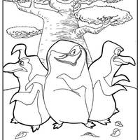 Desenho de Pinguins de Madagascar na floresta para colorir