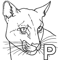 Desenho de Letra P de pantera para colorir