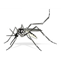 Desenho de Mosquito da dengue para colorir