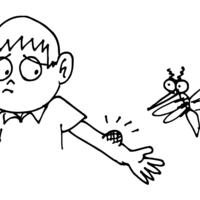 Desenho de Picada do mosquito da dengue para colorir