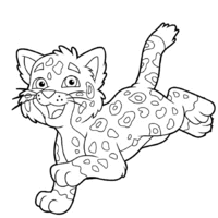 Desenho de Jaguar filhote para colorir