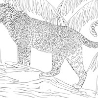 Desenho de Onça-pintada na selva para colorir