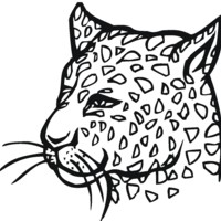 Desenho de Rosto de guepardo para colorir