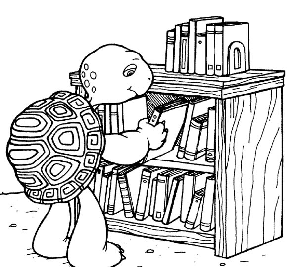 Tartaruga e estante de livros