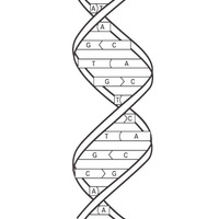 Desenho de Sequência de DNA para colorir