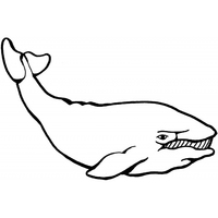 Desenho de Baleia sorrindo para colorir