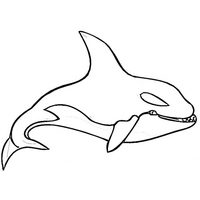 Desenho de Baleia assassina para colorir