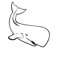 Desenho de Beluga para colorir