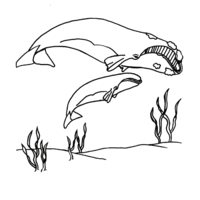 Desenho de Baleias no fundo do oceano para colorir