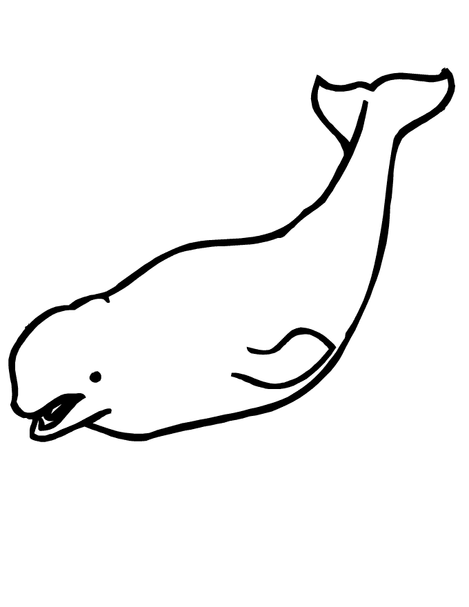 Baleia beluga