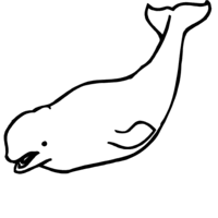 Desenho de Baleia beluga para colorir