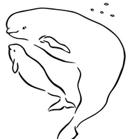 Desenho de Mamãe beluga para colorir