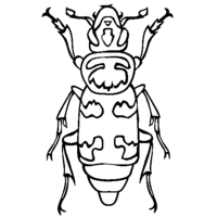 Desenho de Besouro inseto para colorir