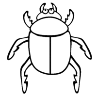 Desenho de Besouro para colorir