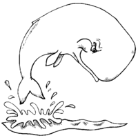 Desenho de Salto da baleia para colorir