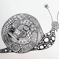 Desenho de Zentangle caracol para colorir