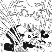 Desenho de Mickey e urso conversando no safari para colorir