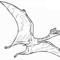Desenho de Pteranodonte réptil pré-histórico para colorir