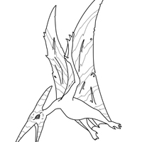 Desenho de Pteranodonte atacando para colorir
