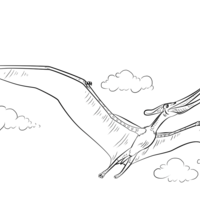Desenho de Pteranodonte voando para colorir