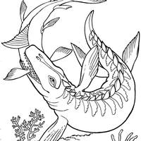 Desenho de  comendo peixe para colorir
