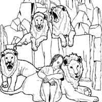 Desenho de Selva cheia de leões para colorir