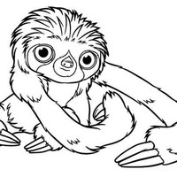 Desenho de Bicho-preguiça bebê para colorir