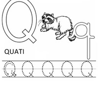 Desenho de Letra Q de quati para colorir
