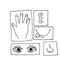 Desenho de Cinco sentidos do corpo humano para colorir