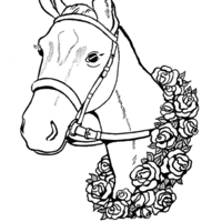 Desenho de Cabeça de cavalo para colorir