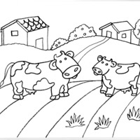 Desenho de Vaquinhas de pecuária para colorir