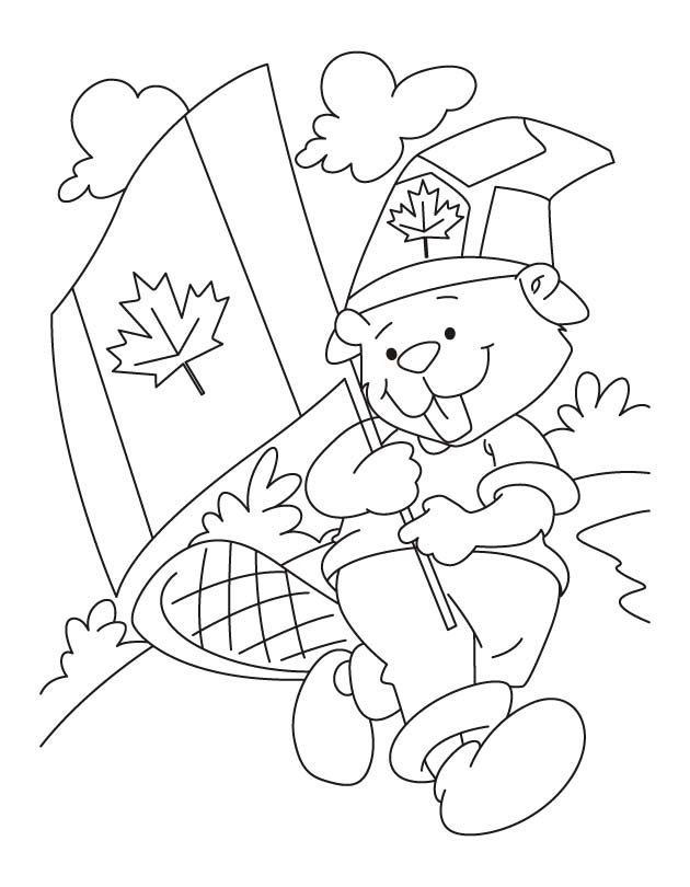 Ursinho e bandeira do canada