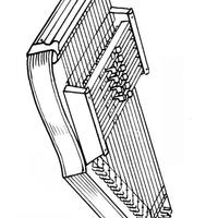 Desenho de Citara de cordas para colorir