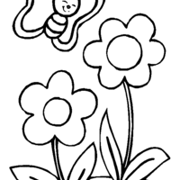 Desenho de Borboleta e flores para colorir