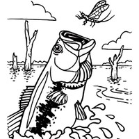 Desenho de Peixe pescando mosca para colorir