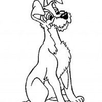 Desenho de Cachorro Vagabundo para colorir