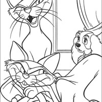 Desenho de Gatos malvados do filme A Dama e o Vagabundo para colorir