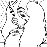 Desenho de Linda cachorra Lady para colorir