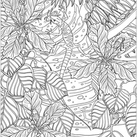 Desenho de Flora da Amazônia para colorir