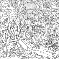 Desenho de Bichos da Amazônia para colorir